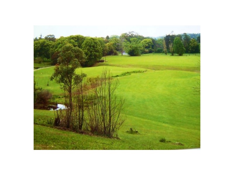 Bellingen NSW 2454