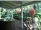 1117 Waterfall Way, Bellingen NSW 2454
