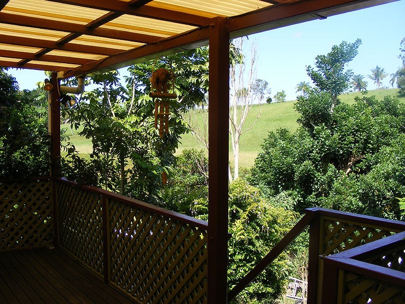 669 Waterfall Way Fernmount, Bellingen NSW 2454