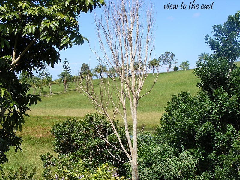 669 Waterfall Way Fernmount, Bellingen NSW 2454