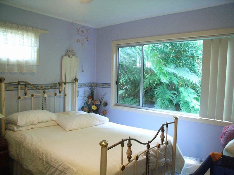 669 Waterfall Way Fernmount, Bellingen NSW 2454