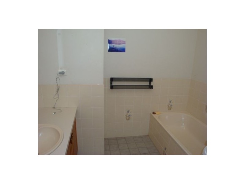 16 McNally Street, Bellingen NSW 2454