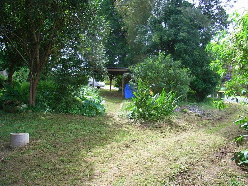80 Wheatley Street, Bellingen NSW 2454