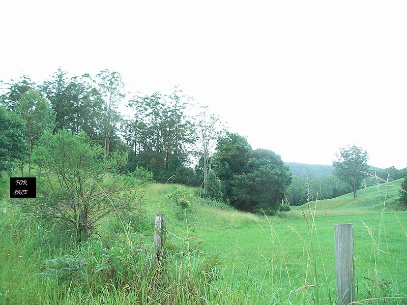 Lot 1 Bowraville Road, Bellingen NSW 2454