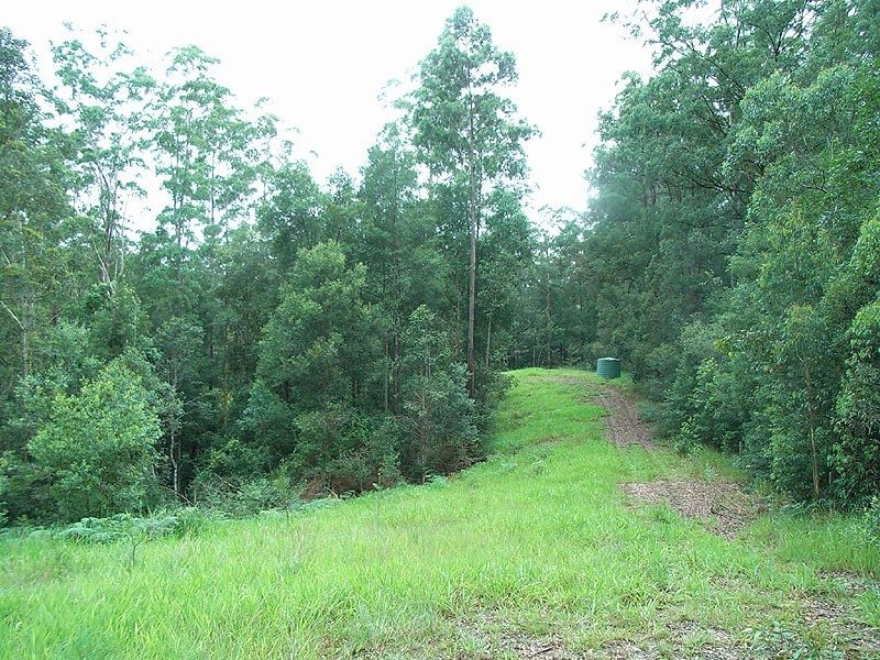Lot 1 Bowraville Road, Bellingen NSW 2454