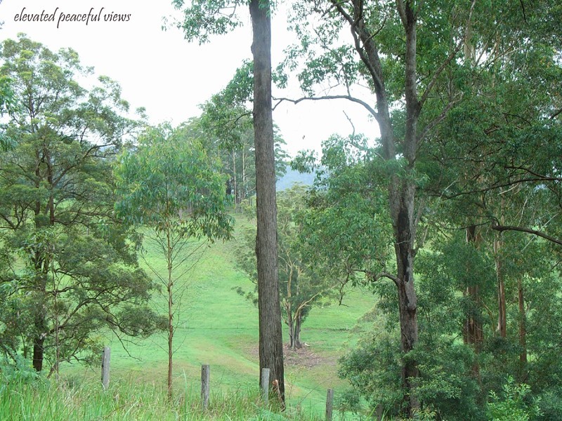 Lot 1 Bowraville Road, Bellingen NSW 2454
