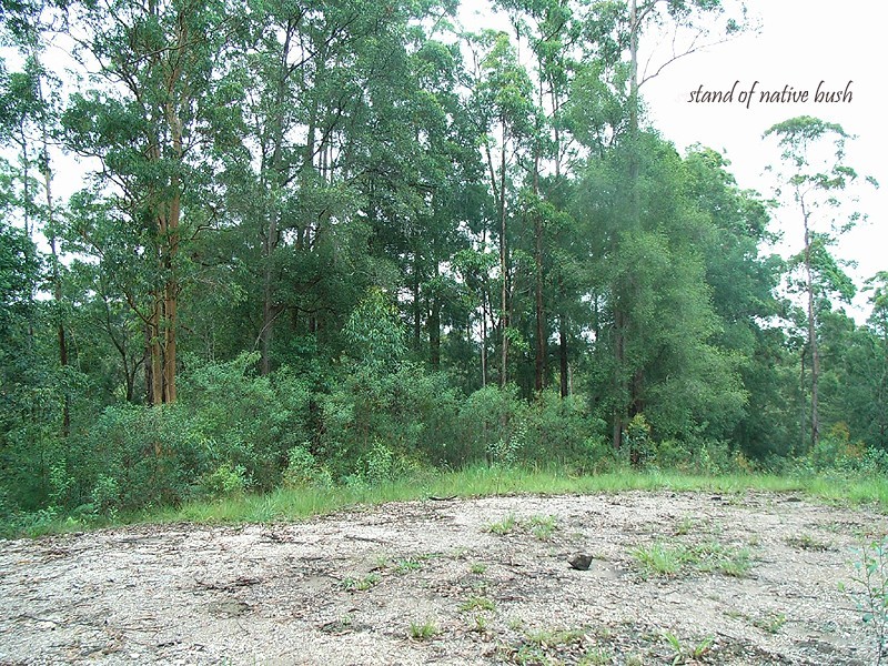 Lot 1 Bowraville Road, Bellingen NSW 2454