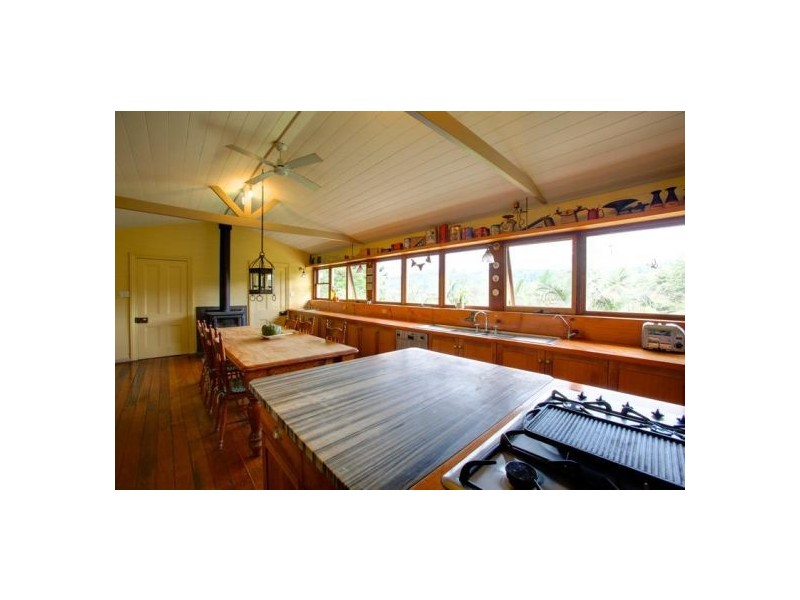 153 Darkwood Rd Thora, Bellingen NSW 2454