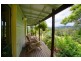 153 Darkwood Rd Thora, Bellingen NSW 2454