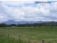 33 River Street, Repton NSW 2454