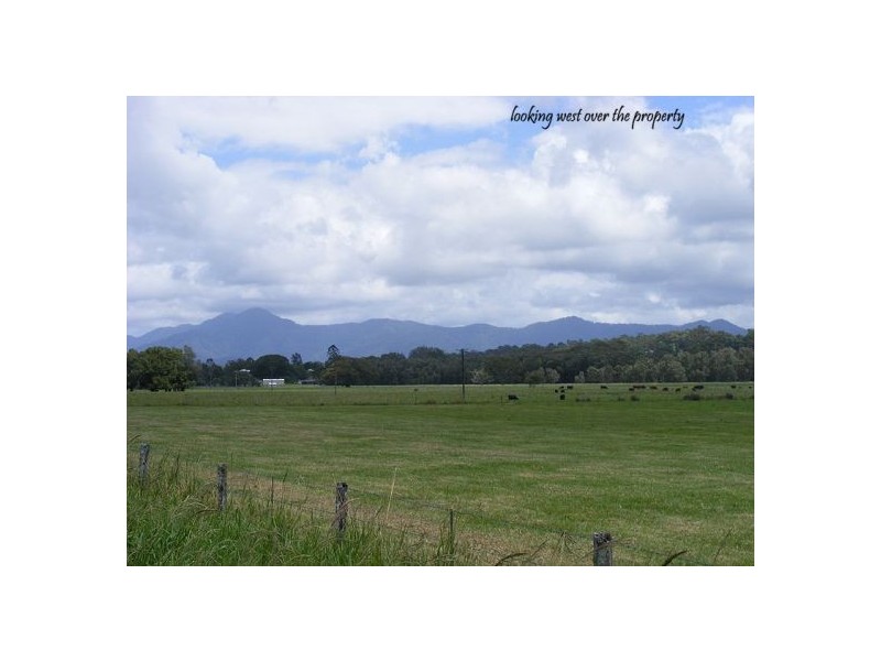 33 River Street, Repton NSW 2454