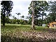 31 Elk Avenue, Repton NSW 2454