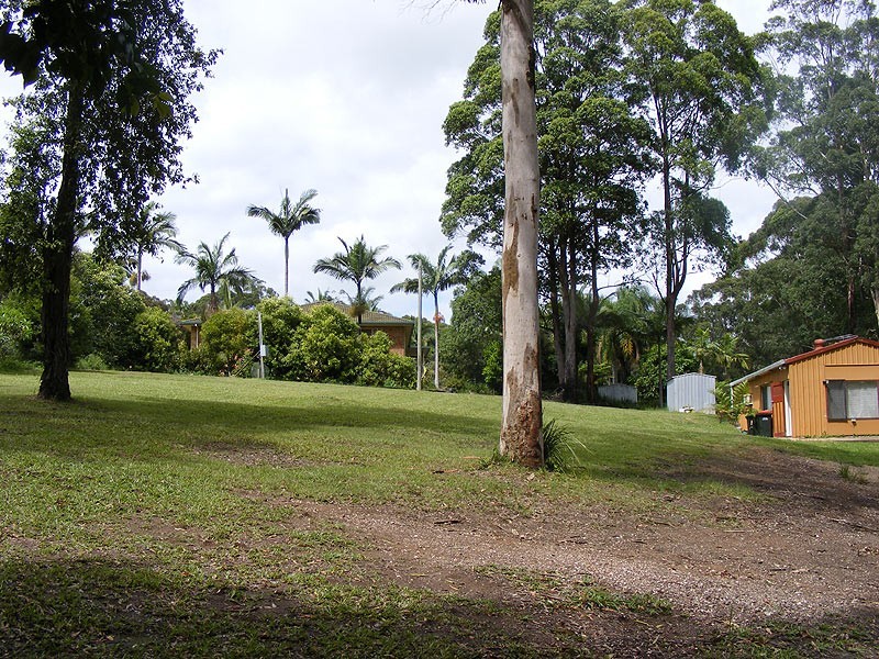 31 Elk Avenue, Repton NSW 2454