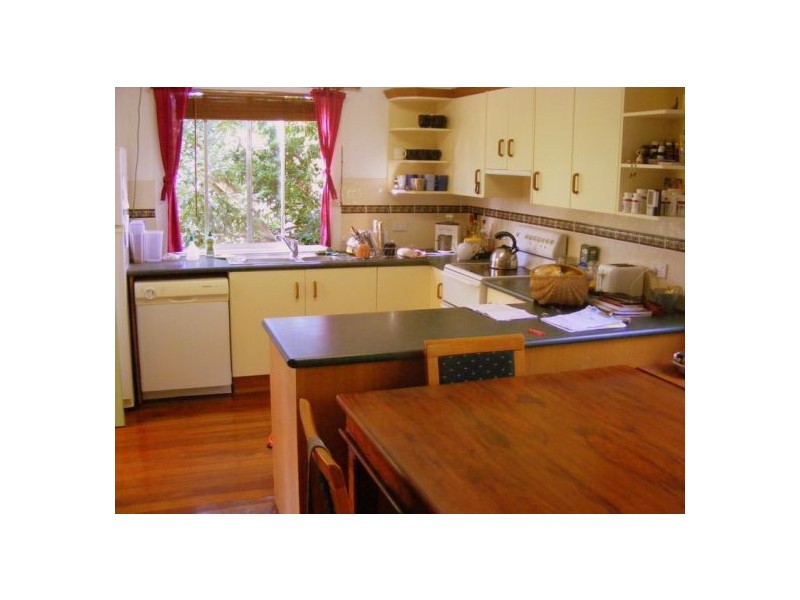 669 Waterfall Way Fernmount, Bellingen NSW 2454