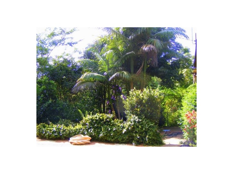 669 Waterfall Way Fernmount, Bellingen NSW 2454