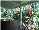 1117 Waterfall Way, Bellingen NSW 2454