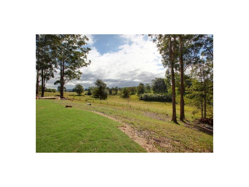 55 Joeliza Drive, Repton NSW 2454