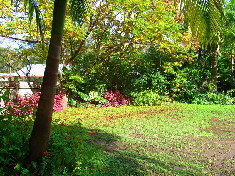 17 Tamarind Drive, Bellingen NSW 2454