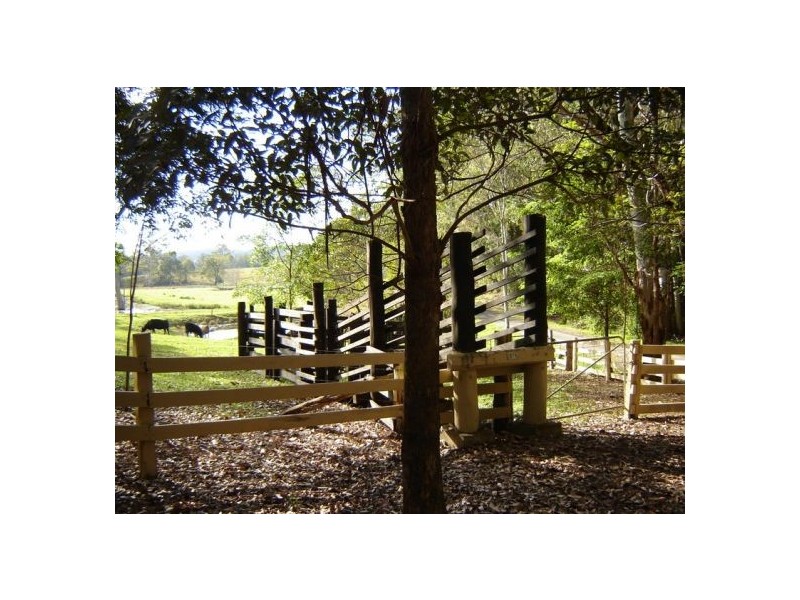 379 Martells Road, Bellingen NSW 2454