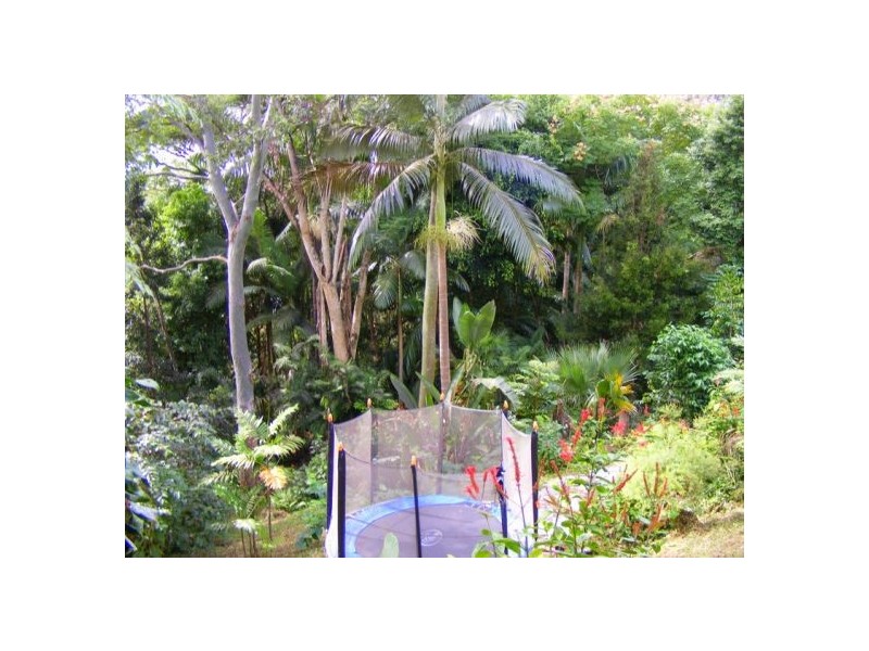 26 Hill St, Bellingen NSW 2454