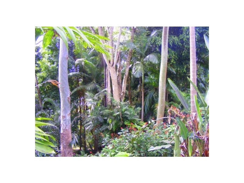 26 Hill St, Bellingen NSW 2454