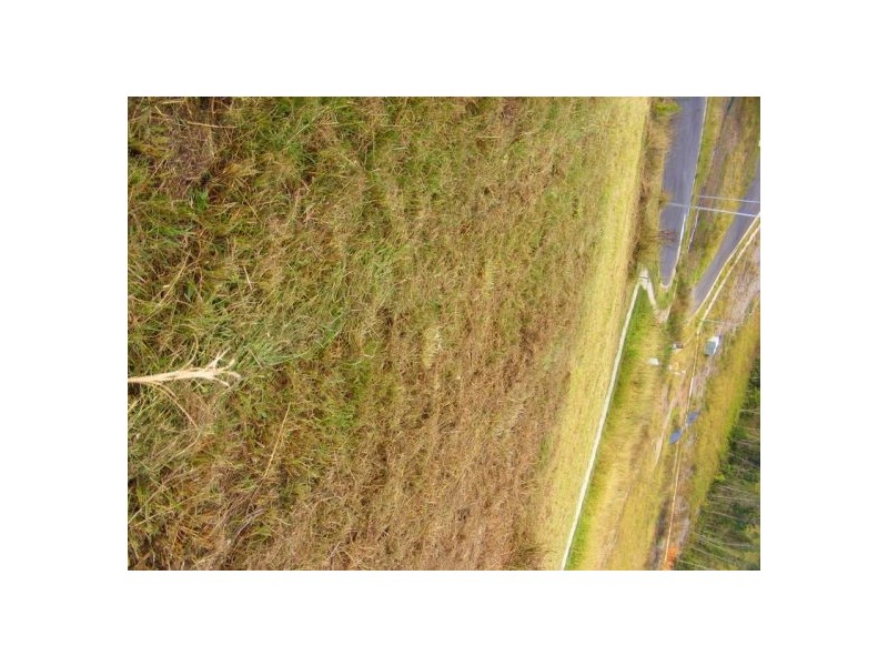 Lot 16 Red Gum Crescent, Bellingen NSW 2454