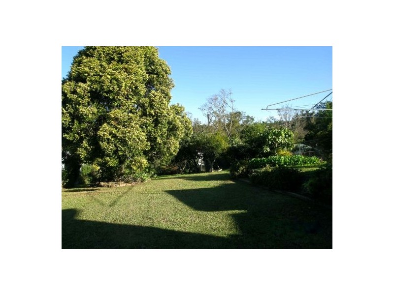 45 Wheatley St, Bellingen NSW 2454