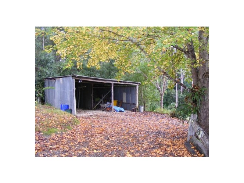 Bellingen NSW 2454