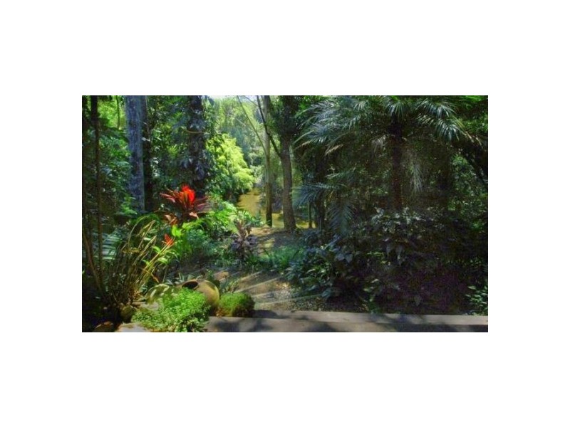 1970 Kalang Rd, Bellingen NSW 2454