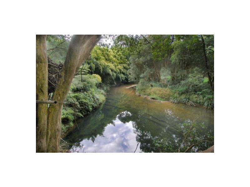 1970 Kalang Rd, Bellingen NSW 2454