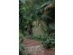 1970 Kalang Rd, Bellingen NSW 2454