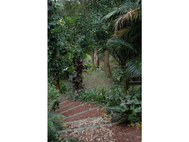 1970 Kalang Rd, Bellingen NSW 2454