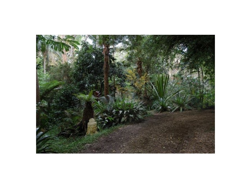 1970 Kalang Rd, Bellingen NSW 2454