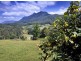 445 Roses Road Gleniffer, Bellingen NSW 2454