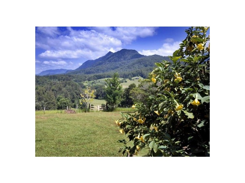 445 Roses Road Gleniffer, Bellingen NSW 2454
