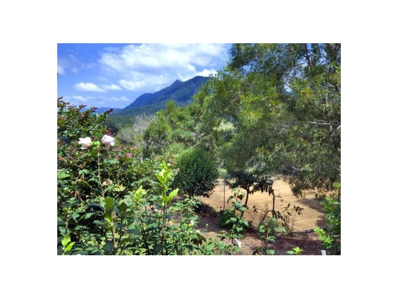 445 Roses Road Gleniffer, Bellingen NSW 2454