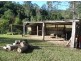 1245 Kalang Road, Bellingen NSW 2454