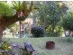 1245 Kalang Road, Bellingen NSW 2454