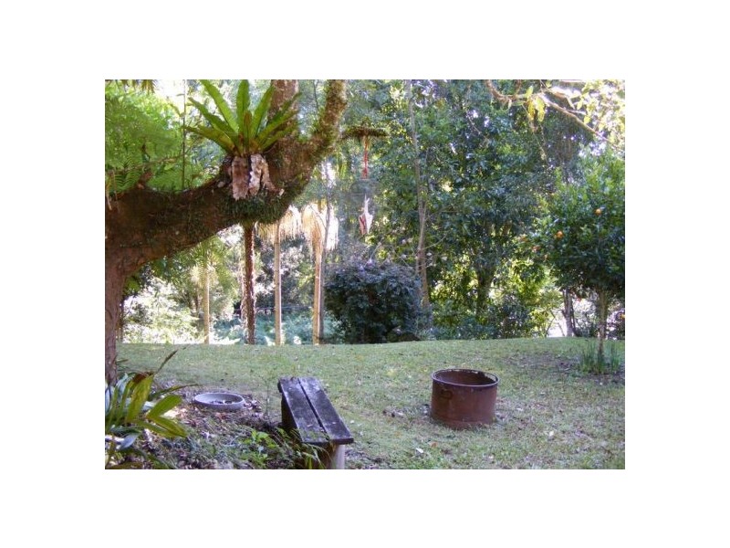 1245 Kalang Road, Bellingen NSW 2454