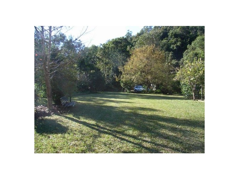 1245 Kalang Road, Bellingen NSW 2454