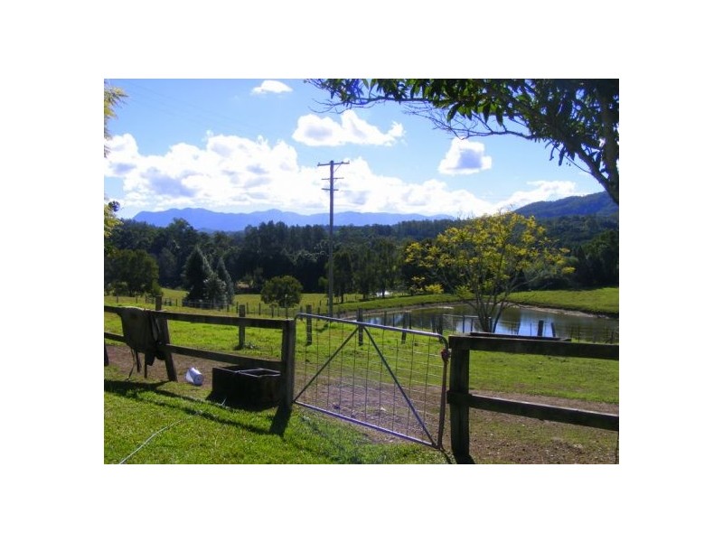 92 Hains Lane, Bellingen NSW 2454