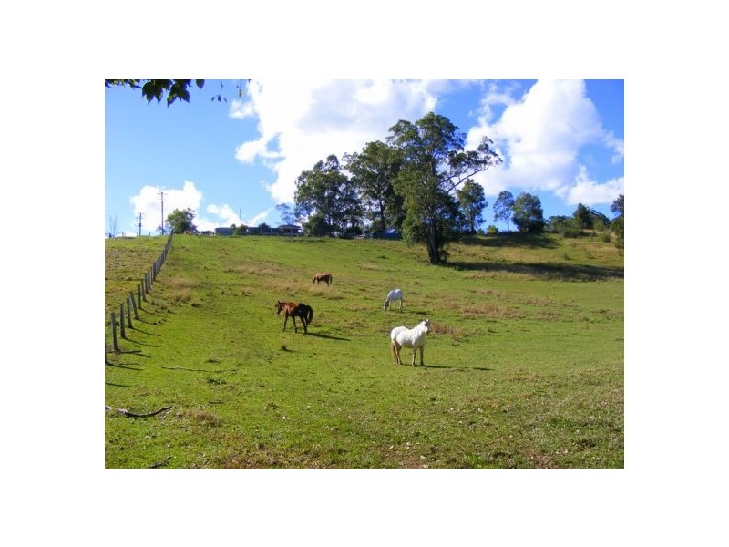 92 Hains Lane, Bellingen NSW 2454