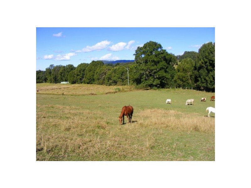 92 Hains Lane, Bellingen NSW 2454