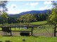 92 Hains Lane, Bellingen NSW 2454