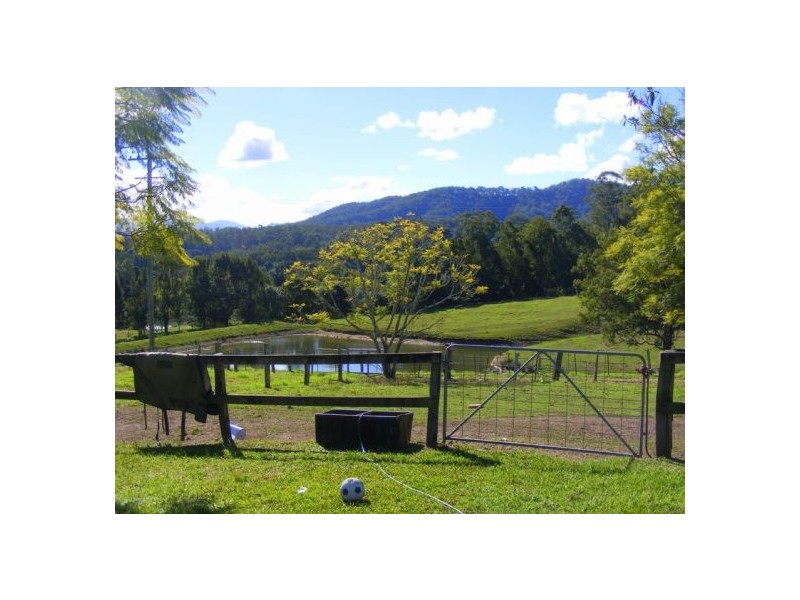 92 Hains Lane, Bellingen NSW 2454
