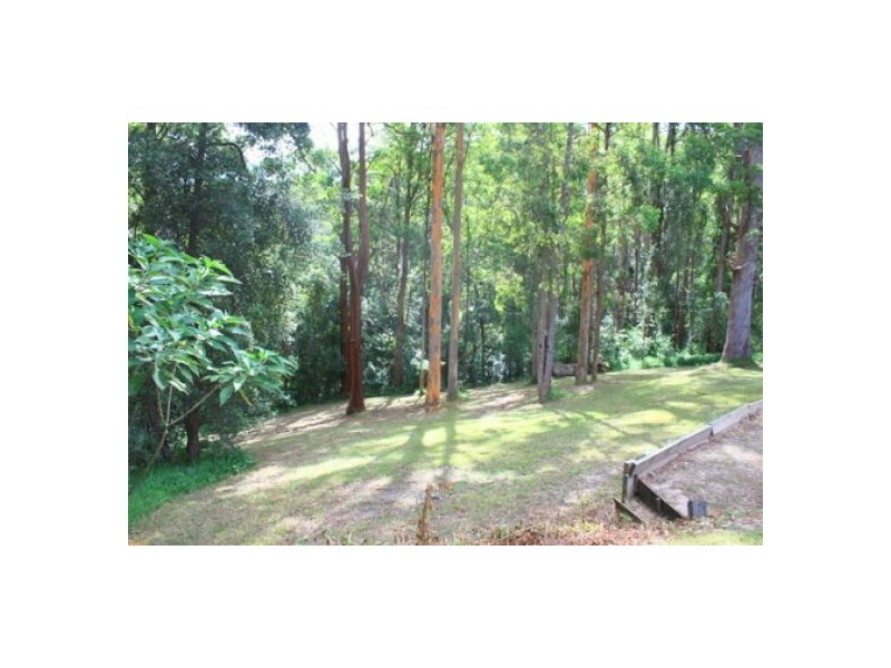 15 Misty Close, Raleigh NSW 2454