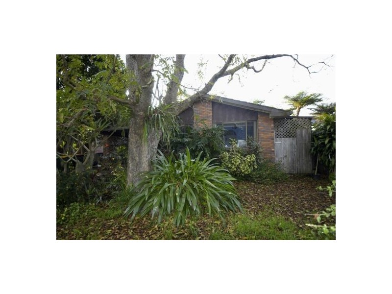 17 Dowle St, Bellingen NSW 2454