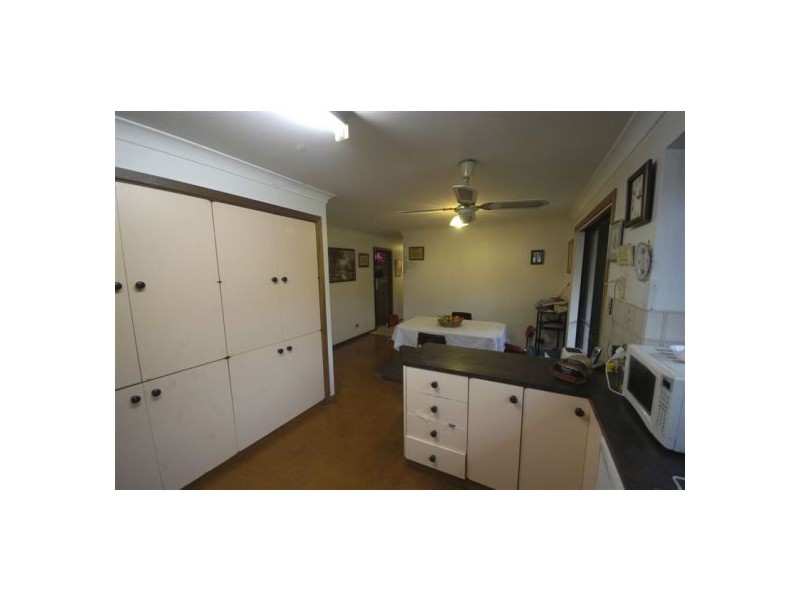 17 Dowle St, Bellingen NSW 2454