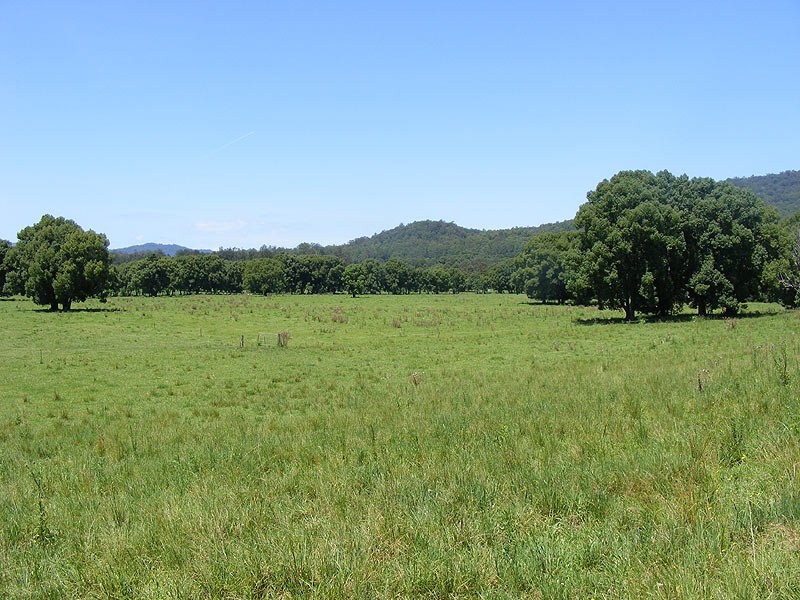 190 Gordonville Road Gleniffer, Bellingen NSW 2454