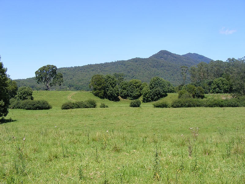 190 Gordonville Road Gleniffer, Bellingen NSW 2454